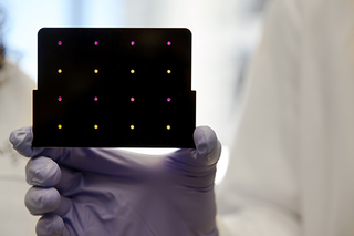 This black cartridge contains the paper-based diagnostic for detecting Zika. Areas that turn purple indicate samples infected with Zika, while yellow areas indicate samples that are free of the virus. (Image: Wyss Institute at Harvard University).